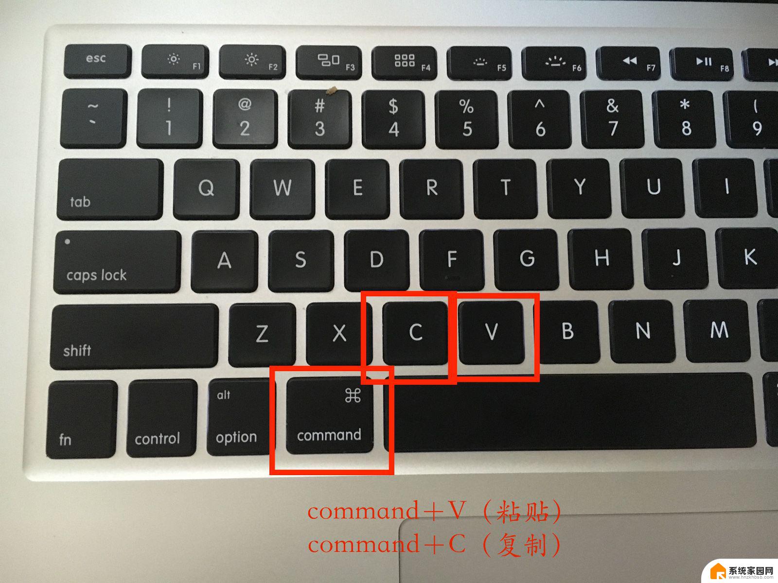 苹果电脑怎么复制粘贴快捷键是什么 苹果电脑复制粘贴的快捷键是什么