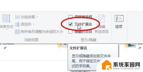 win10不显示后缀名怎么更改后缀名 win10图片后缀名更改后不能显示怎么解决