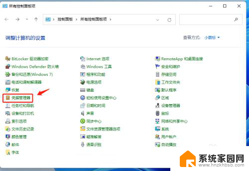 怎么设置win11的网络凭证号 Win11凭证管理器如何保护网络用户名密码