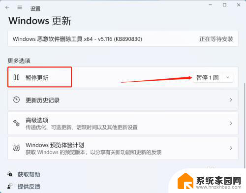 怎么中断windows11更新 Windows 11如何手动暂停更新