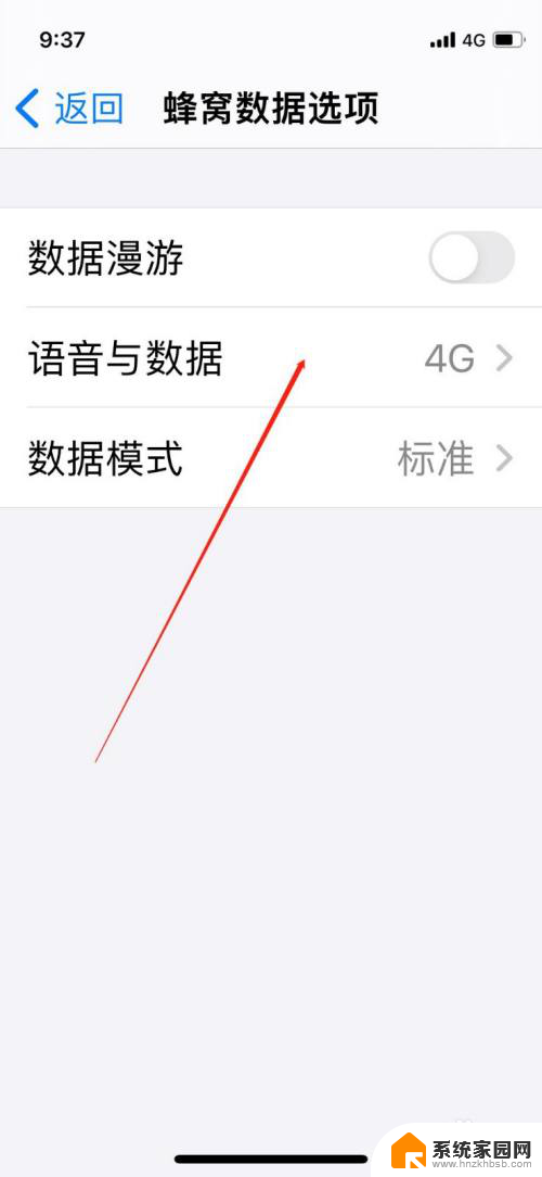 苹果启用5g在哪 5G信号如何在iPhone手机上设置开启