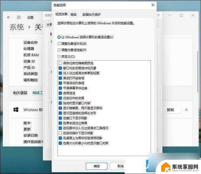 win11性能选项如何设置 Win11性能选项详解