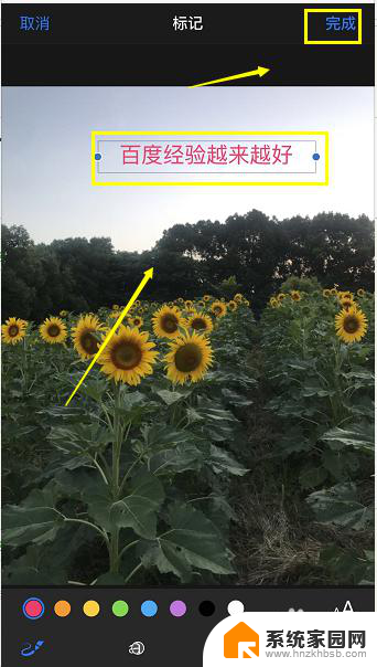 苹果照片怎么加文字 iPhone如何在照片上添加文字