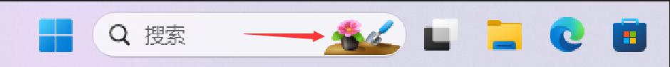 win11如何去掉搜索框的小图 Win11如何清除搜索框内图标