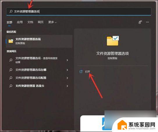 win11怎么显示文件后缀. Win11文件扩展名显示设置方法