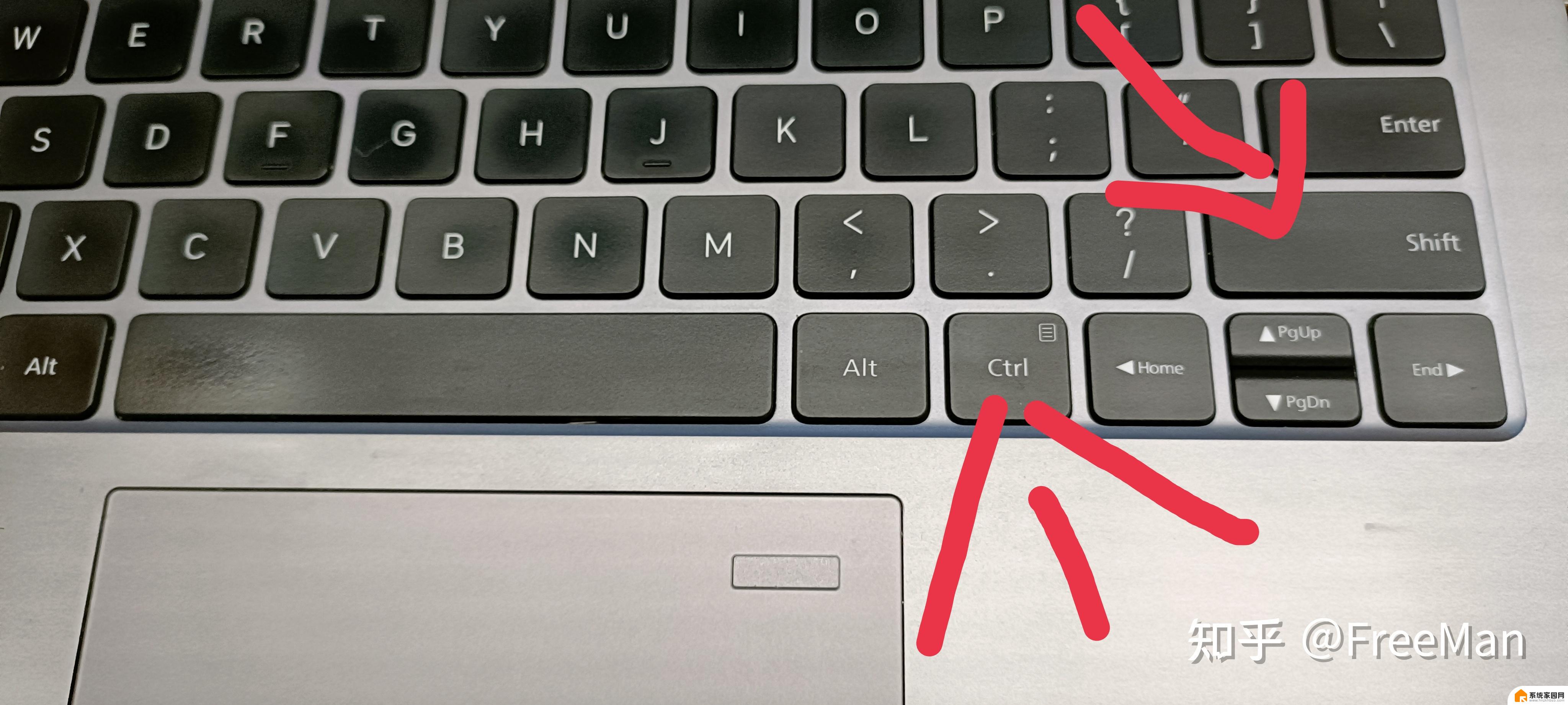 为什么笔记本的键盘不能输入了 笔记本键盘无法输入字母数字的解决方法