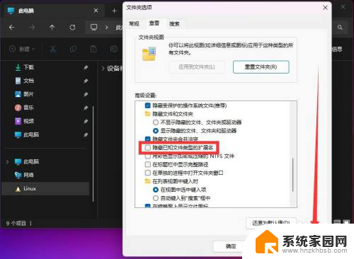 win11如何文件后缀分类显示 Win11文件类型后缀名怎么显示