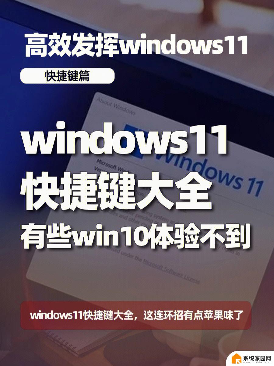 win11系统win键卡 win11卡顿处理方法