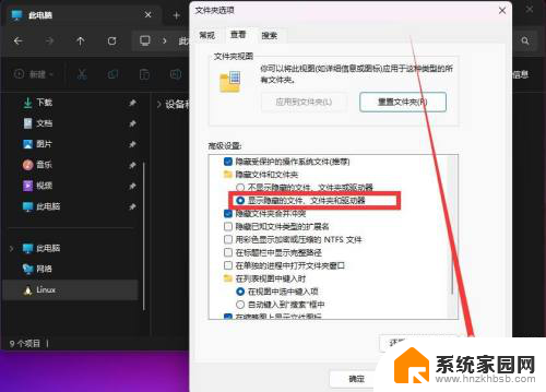 win11怎么调出隐藏的文件夹 win11怎么查看隐藏文件