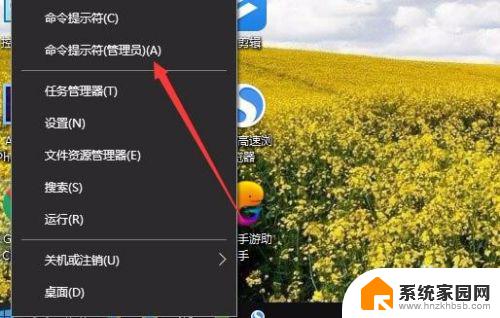 win10初始化网络设置 如何在Win10上初始化网络设置