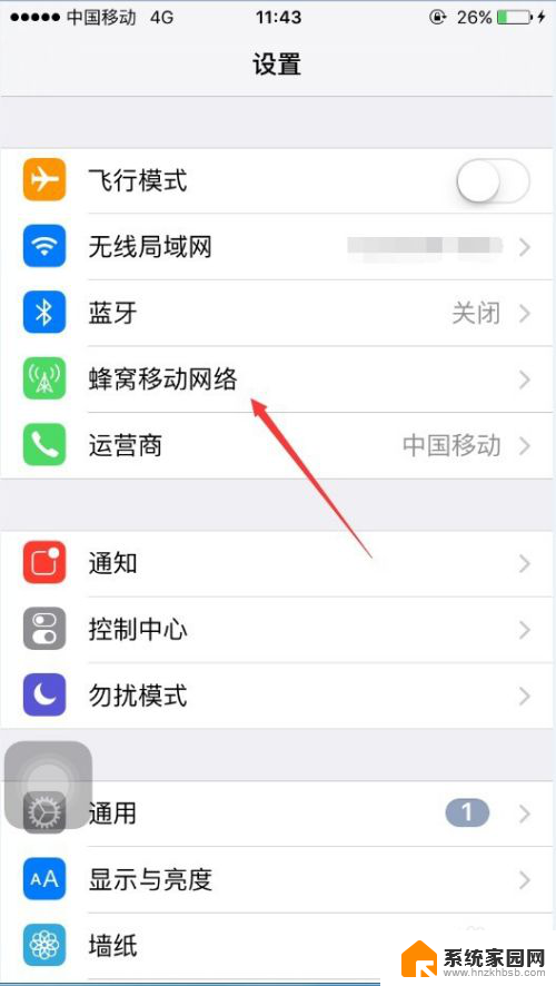 连接网线后怎么联网 苹果手机怎么开启网络连接