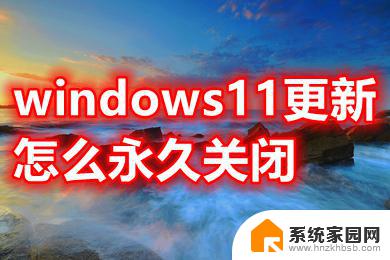 win11能永久关闭更新 windows11关闭自动更新的教程