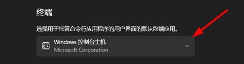 windows11超级终端在哪 Windows11怎么打开开发者模式的终端设置