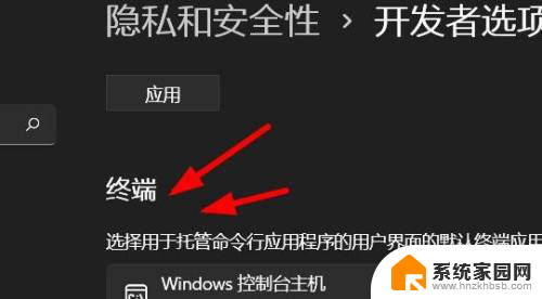 windows11超级终端在哪 Windows11怎么打开开发者模式的终端设置