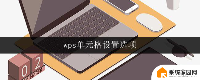 wps单元格设置选项 wps单元格格式设置选项