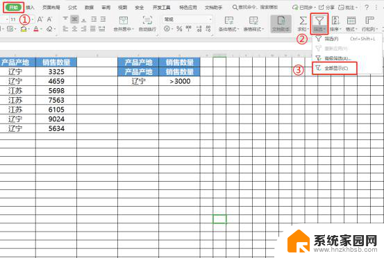 wps如何使用表格高级筛选 wps表格如何使用高级筛选功能