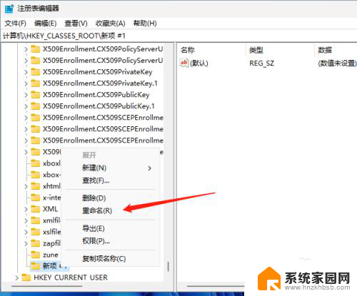 win11新建选项里面没有文本文档怎么办 Windows11右击桌面没有新建文本文档选项